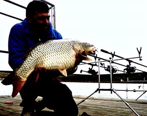 Poze reusite si nereusite